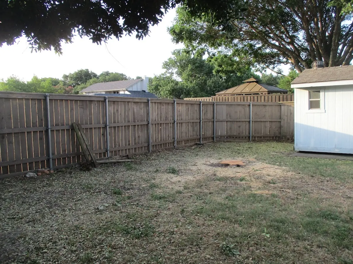 Cleared yard after professional tree removal in Olaton